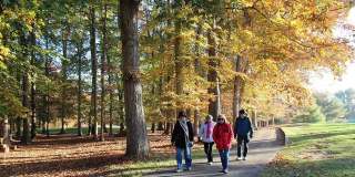 15300 BEAVERBROOK Court unit: 88-2B Gallery 37