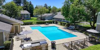 Pinecrest Apartments Gallery 15