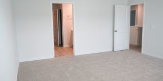 Available Soon! Gallery 22