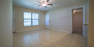 Palms of Clearwater Gallery 47