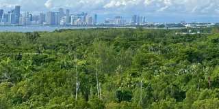 199 Ocean Lane Dr Gallery 1