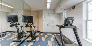 AVIA North Shore Gallery 13