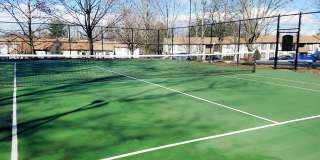 Tall Trees Gallery 9