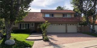 24081 La Chiquita Drive Gallery 1