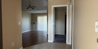 31867 Nardelli Gallery 3