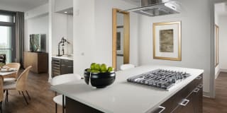 The Driscoll at River Oaks Gallery 17