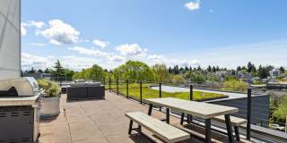 Helene Apartments Gallery 50