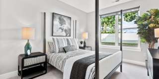 Canter Green Gallery 21