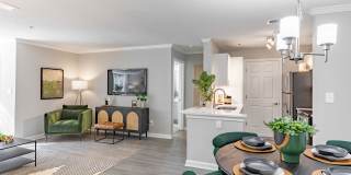 ARIUM Lenox Park Gallery 11