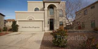 14375 Whisper Mare Gallery 1