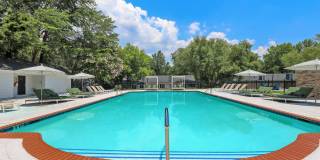 The Preserve At Dunwoody Gallery 9