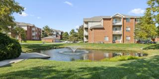 Lakeside Village Gallery 25