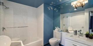 1388 Gough Street unit: 1201 Gallery 17