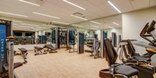 The Grand Gallery 7