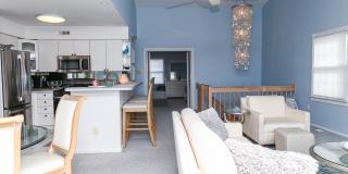 12 Gull Cv Gallery 16