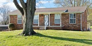 Pet Friendly Renovated Three Bedroom with Basement! Gallery 3