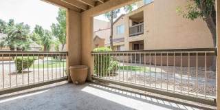 Ventana Palms Gallery 18