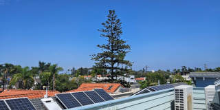 3 Bedroom Plus Home with Roof Top Deck Gallery 29