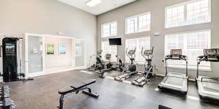 Shoreline Flats Gallery 10