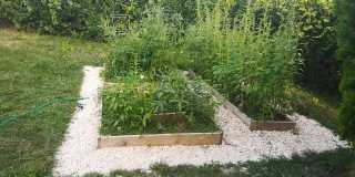 7823 Perry Rd Gallery 2