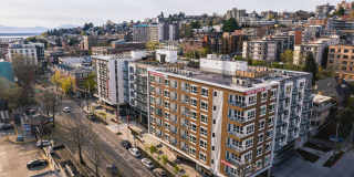 110 Roy Gallery 12