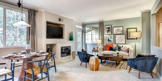 Sofi Westview Gallery 3