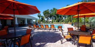 10231 OPALINE SKY COURT Gallery 15
