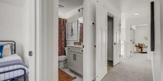 Mt. Rainier Gallery 27