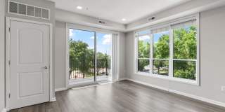 The Serene Gallery 22