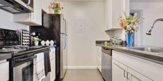 Serra Commons Gallery 1