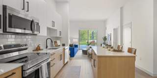 Modera Newton Gallery 22