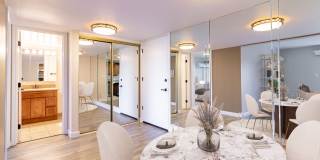 El Gato Penthouse Gallery 6