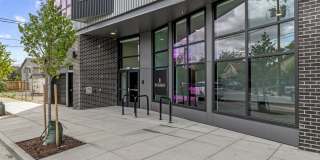 The Buckley Gallery 16