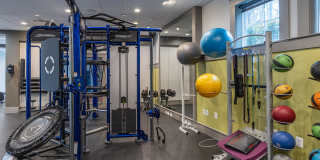 The Encore Gallery 20