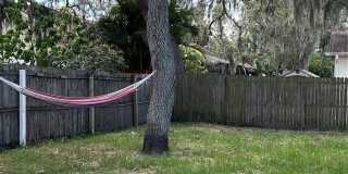 7808 OSTEEN Road Gallery 20