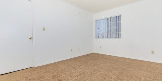 The Palisades Gallery 7