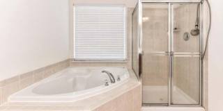 21759 LADYSLIPPER Square Gallery 21