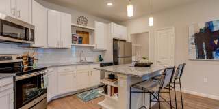 Lakeside Walk Gallery 1