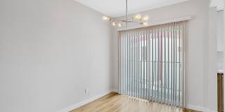 CitiZen Beach Collection at Camino Gallery 12