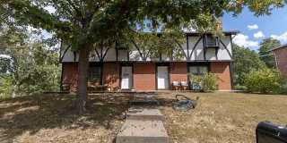 Charming and Spacious South Side 3-Bedroom Duplex Gallery 1