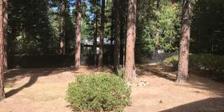 255 Pelton Single Family Home Gallery 3