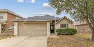 PM1-LEA356 Housefinch Lp Gallery 1