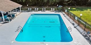 Rosen at North Hills Gallery 29