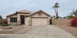 3 bed 2 bath in Goodyear! No HOA 3 bed 2 bath in Goodyear! No HOA Gallery 1