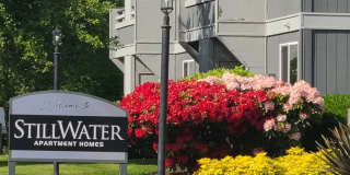 Stillwater Gallery 33