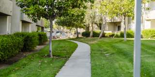 Legends of Rancho Belago Gallery 82