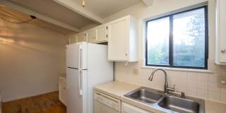 Spacious 4 Bedroom in Mid-Town Fort Collins Gallery 9