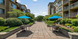Summit at Madison Park Gallery 21