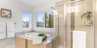 Modern Built Home in Great Neighborhood - 4 bed with den + 2.5 bath, remodeled Kitchen Gallery 1