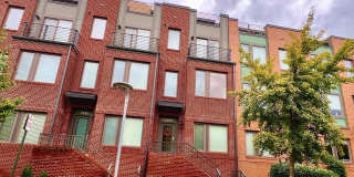 2949 STELLA BLUE Lane Gallery 1